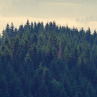 轰炸电话软件免费版在线轰炸