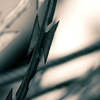 在线短信云呼网